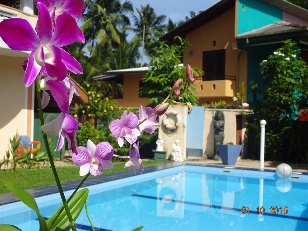 Hilda Guest House Hikkaduwa Ngoại thất bức ảnh
