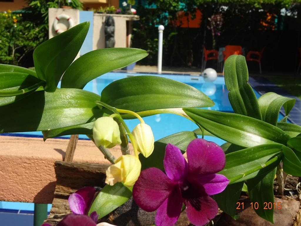 Hilda Guest House Hikkaduwa Ngoại thất bức ảnh