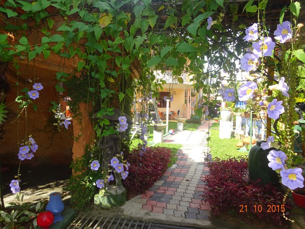 Hilda Guest House Hikkaduwa Ngoại thất bức ảnh