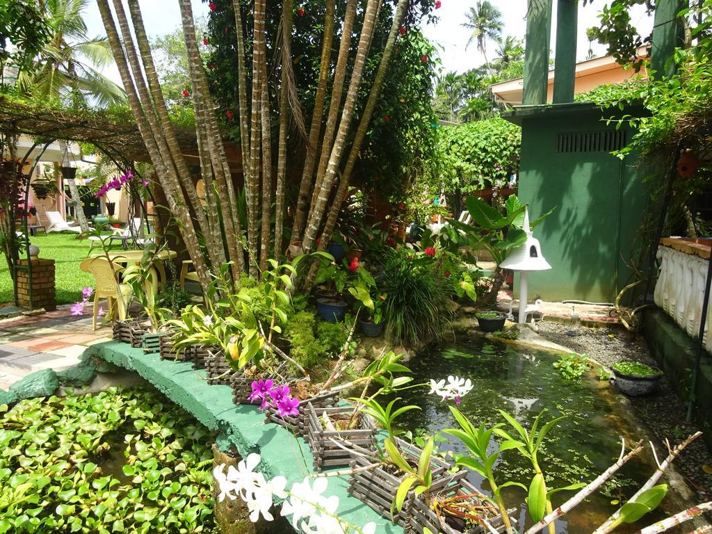 Hilda Guest House Hikkaduwa Ngoại thất bức ảnh